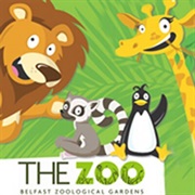 Belfast Zoo