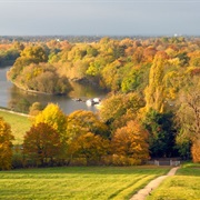 Richmond, Surrey