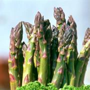 Vaucluse Green Asparagus