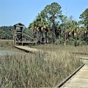 Skidaway Island State Park, Georgia
