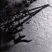 Max Richter - The Blue Notebooks