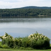 Ogden Mills & Ruth Livingston Mills Memorial State Park, New York