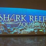 Madalay Bay Shark Reef