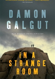 In a Strange Room (Damon Galgut)