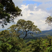 Kiriba National Park, Burundi