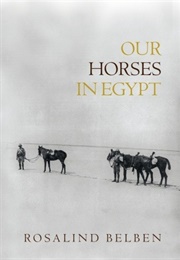 Our Horses in Egypt (Rosalind Belben)