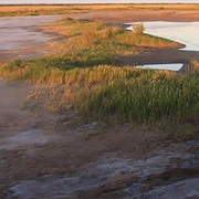 Salt Plains National Wildlife Refuge