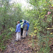 Lakefront Park and Sanctuary, Indiana