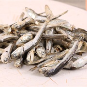 Japanese Anchovy