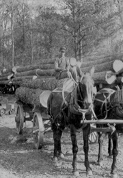 New Directions (Maya Angelou)