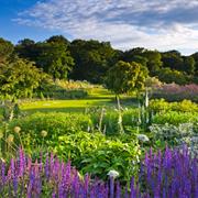 RHS Harlow Carr