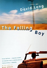 The Falling Boy (David Long)