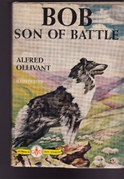 Bob, Son of Battle (Alfred Ollivant)