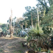 Botanical Garden, Lokrum, Croatia
