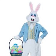 Easter Bunny Costume