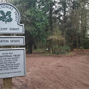 Ashclyst Forest