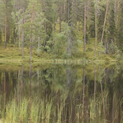 Oulanka National Park, Finland