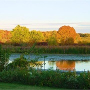 Shabbona Lake State Recreation Area, Illinois