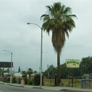 Rosemead, California