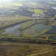 Dearne Valley - Adwick Washland