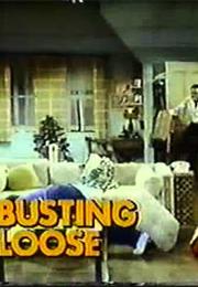Busting Loose (TV Series)