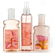 Bath and Body Works Plumeria Scent