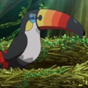 Toucannon