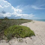 Hobe Sound National Wildlife Refuge