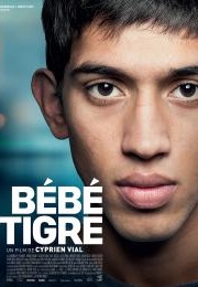 Bébé Tigre (2015)