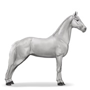 Tennessee Walker - Light Gray
