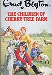 Cherrytree/Willow Farm Series (Enid Blyton)