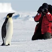 Go to Antarctica