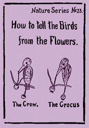 How to Tell the Birds From the Flowers (Robert W. Wood)