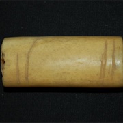 Identify Where That Bone I Found in the Woods Came From