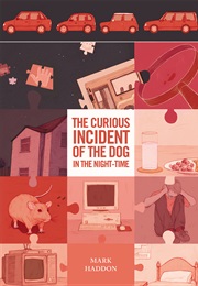 The Curious Incident of the Dog in the Night Time (Mark Haddon)