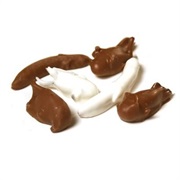 Chocolate-Covered Insect