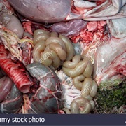 Deer Offal