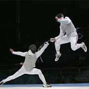 Try Fencing