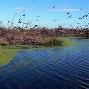 Lachlan Valley National Park (NSW)