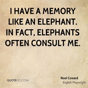 A Memory Like an Elephant
