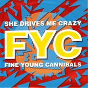 Fine Young Cannibals - She Drives Me Crazy