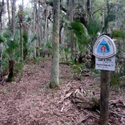 Florida National Scenic Trail