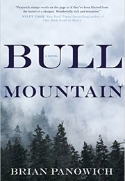 Bull Mountain (Brian Panowich)