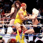 Royal Rumble Match,Royal Rumble 1992