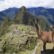 Visit Machu Picchu