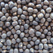 Urad Bean