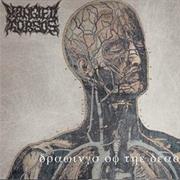 Mangled Torsos - Drawings of the Dead