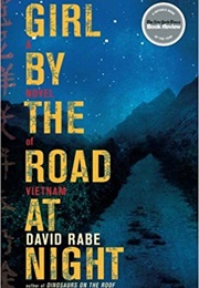 Girl by the Road at Night (David Rabe)