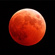 See the Blood Moon