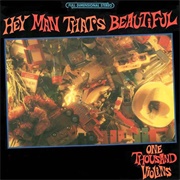 One Thousand Violins-Hey Man That's Beautiful